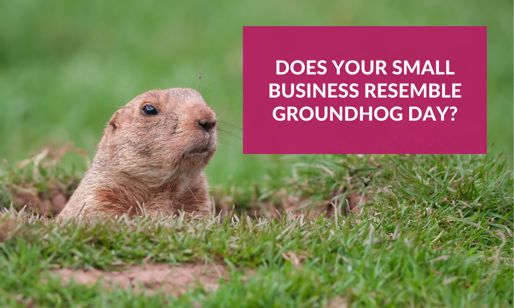 Groundhog popping out of the grass