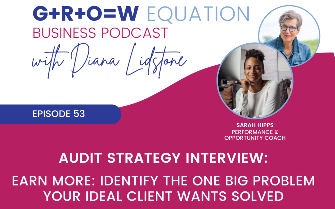 Ep. 53 – Earn More: Identify the one big problem your ideal client wants solved (Audit Strategy Interview)