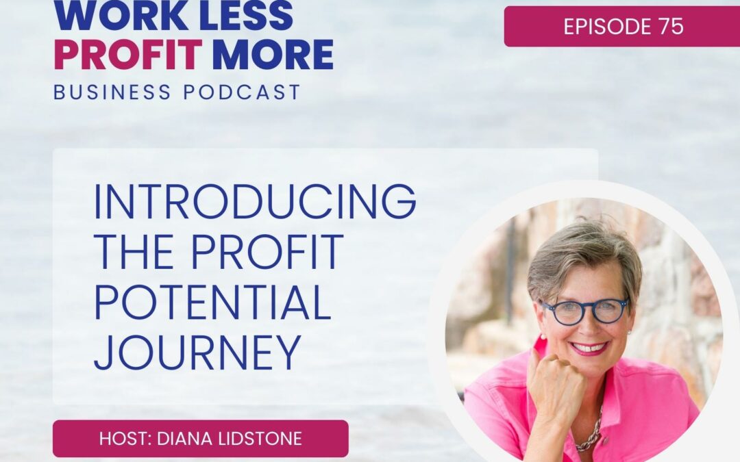 Ep. 75 – Introducing the Profit Potential Journey