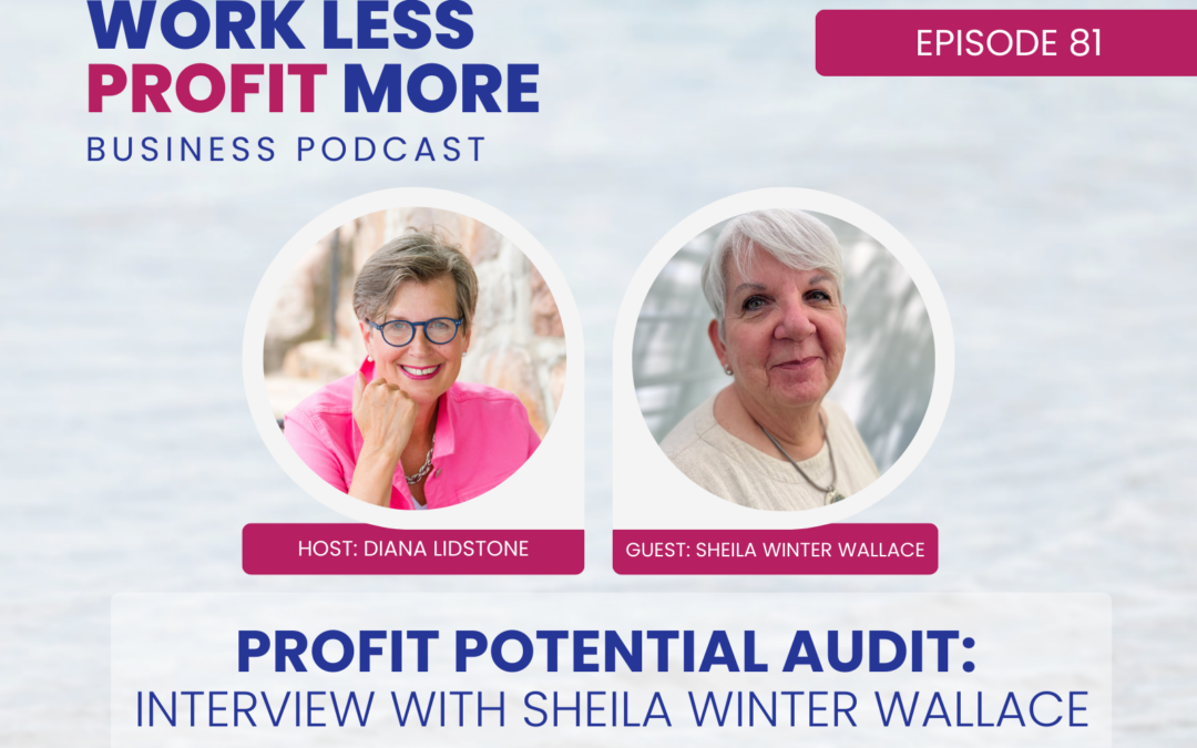 Ep. 81 – Profit Potential Audit: Interview with Sheila Winter Wallace