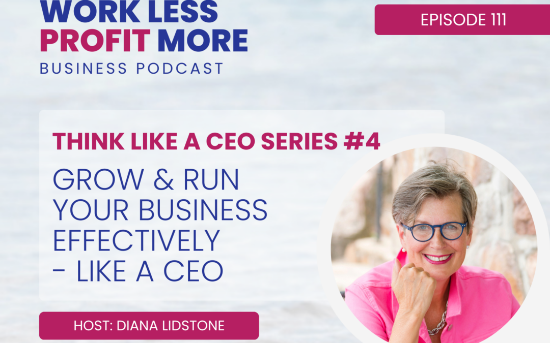 Ep. 111 – Grow & Run Your Business Effectively – Like a CEO (THINK LIKE A CEO series #4)